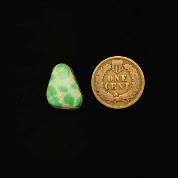 "Small Minty Green/Blue Freeform Grasshopper Turquoise Cabochon with Creamy White Matrix from Grasshopper Mine on TurquoiseDeluxe."