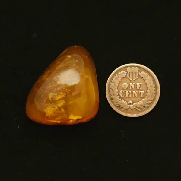 "High Dome Free Form Natural Baltic Amber Cabochon, Measuring 32.15 Carats, Untreated and Natural"