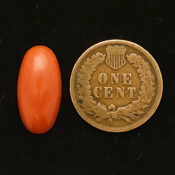 "Dark Salmon Orange Red Ellipse Mediterranean Coral Cabochon, Measuring 18.24mm x 9.38mm, 4.25 Carats, Untreated and Natural"