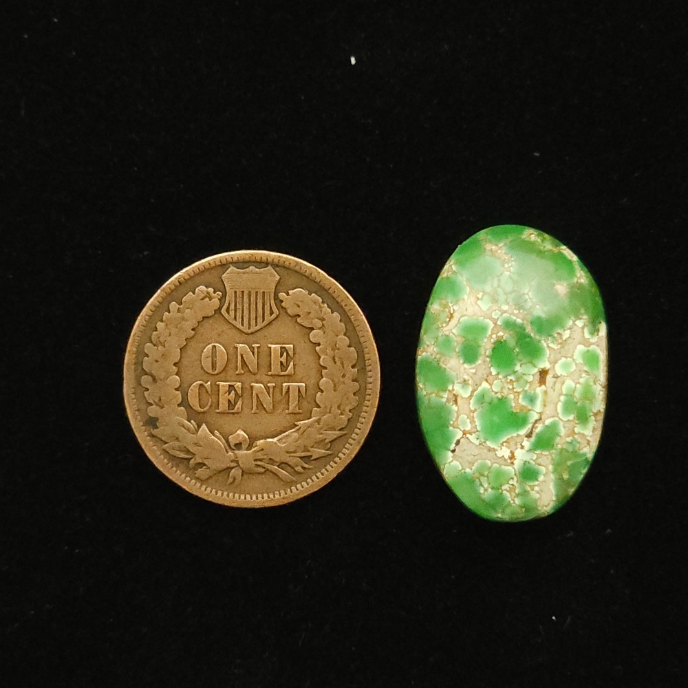 Oval Carico Lake turquoise cabochon, spring green with mocha spiderweb matrix, 16.35 carats
