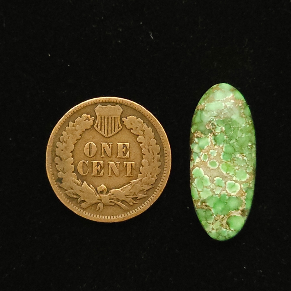 Elliptical Carico Lake turquoise cabochon, grass green with medium brown spiderweb matrix, 8.95 carats